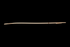 Rocket - Moray 39″ - Enjoy 10% off upon purchase of a board now or before!